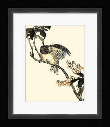 Framed Oriental Bird On Branch V Print