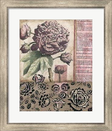 Framed Cottage Rose I Print