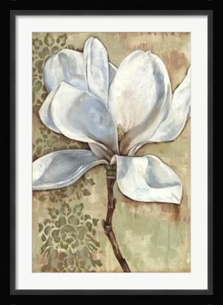 Framed Magnolia Majesty I Print