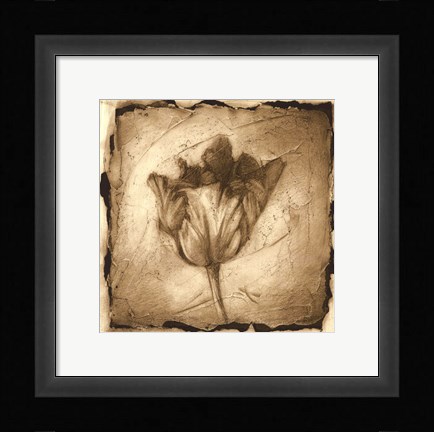 Framed Floral Impression II Print