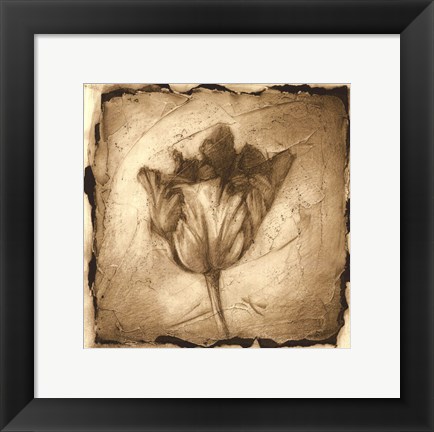 Framed Floral Impression II Print