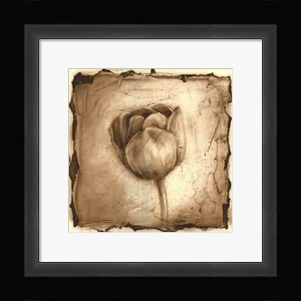 Framed Floral Impression III Print