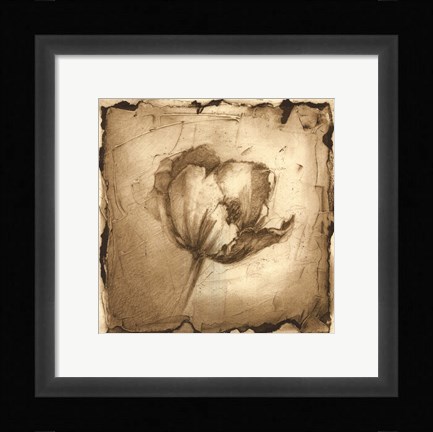 Framed Floral Impression IV Print