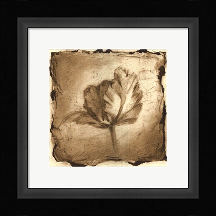 Framed Floral Impression V Print