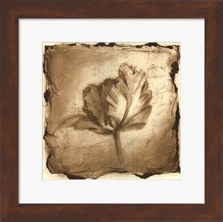 Framed Floral Impression V Print