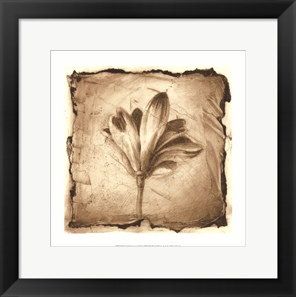 Framed Floral Impression VII Print