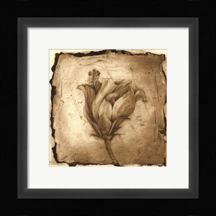 Framed Floral Impression VIII Print