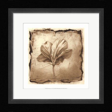 Framed Floral Impression IX Print