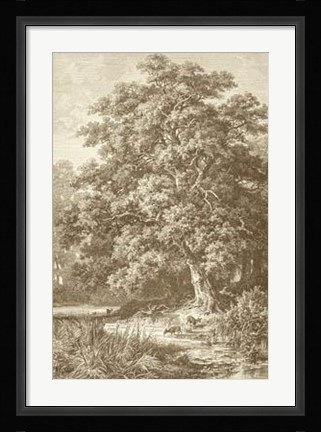 Framed Sepia Oak Tree Print