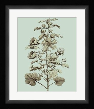 Framed Imperial Munting I Print