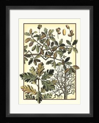 Framed Arts And Crafts Oak Print