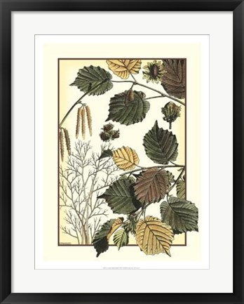 Framed Arts And Crafts Hazelnut Print