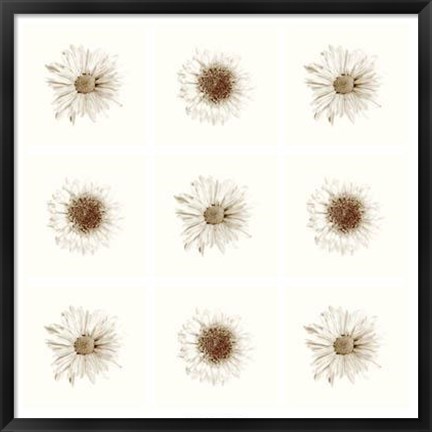 Framed Neutral Bouquet Print