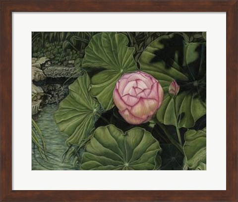 Framed Enchanting Lotus Print