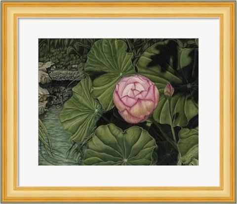 Framed Enchanting Lotus Print