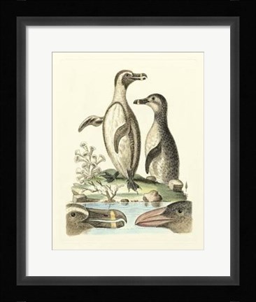 Framed Aquatic Birds IV Print