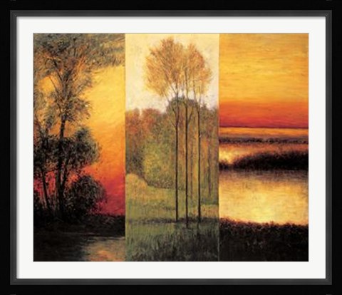 Framed Vistas I Print