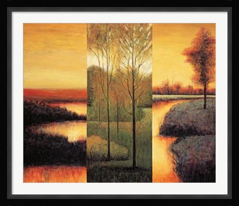 Framed Vistas II Print