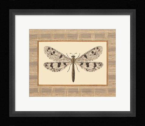 Framed Delicate Dancer III Print