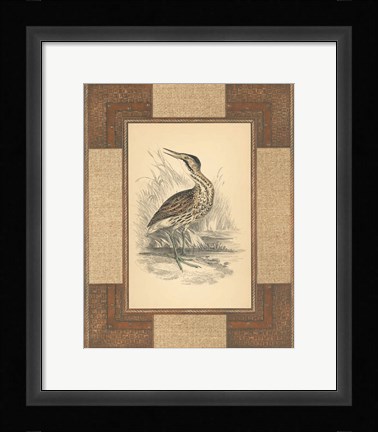 Framed Marshland Bittern Print