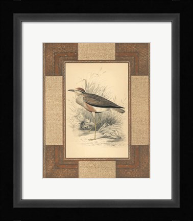 Framed Lowland Courier Print