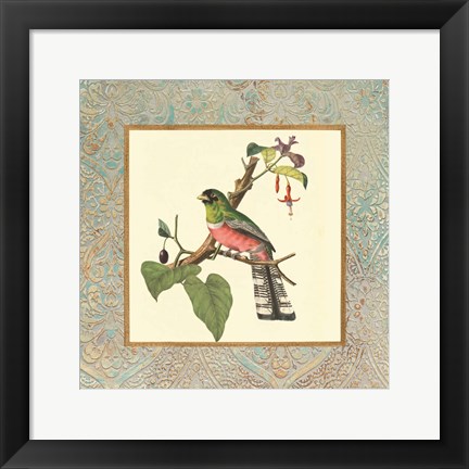 Framed Bel Air Songbirds II Print