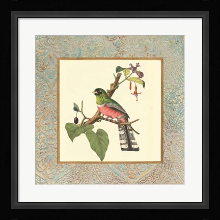 Framed Bel Air Songbirds II Print
