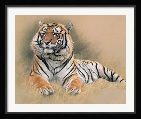 Framed Tiger [Ed 195] Print