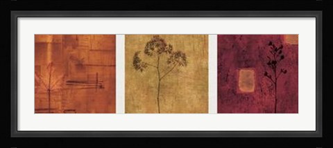 Framed Provenance Print