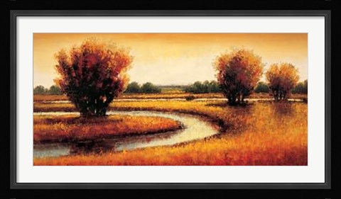 Framed Golden Reflections II Print