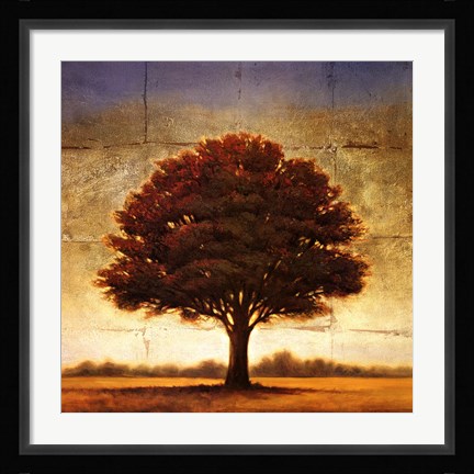 Framed Splendor I Print