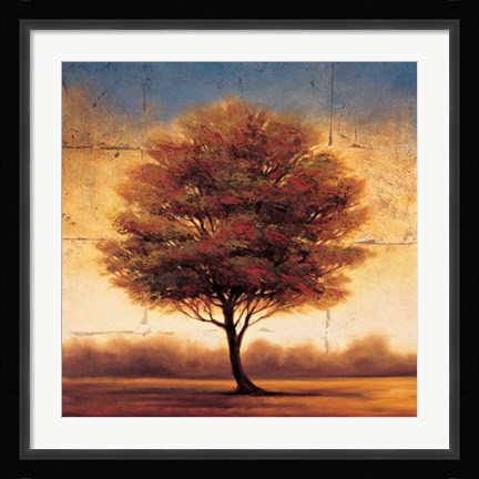 Framed Splendor II Print