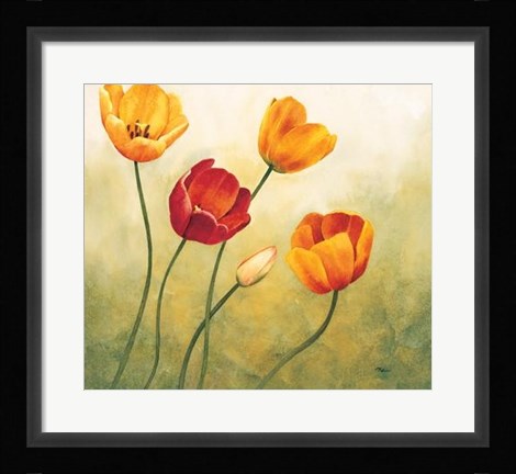 Framed Brezza Sui Tulipani Print