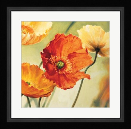 Framed Champs De Coquelicots II Print