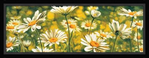 Framed Melodie De Marguerites Print