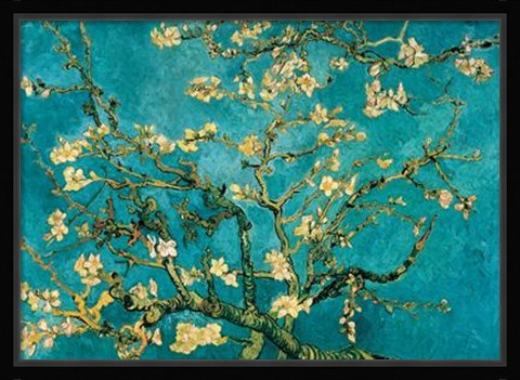 Framed Mandorlo In Fiore Print