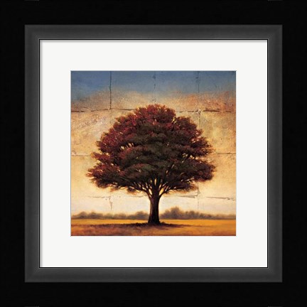 Framed Splendor I Print