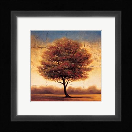 Framed Splendor II Print