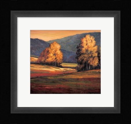 Framed In All Its Glory II Print