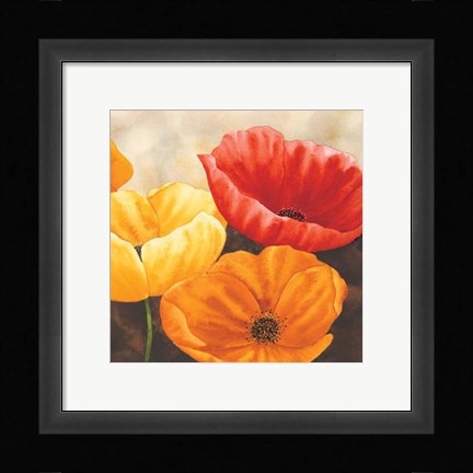 Framed Papaveri Variopinti II Print