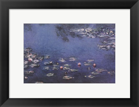 Framed Waterlillies Print