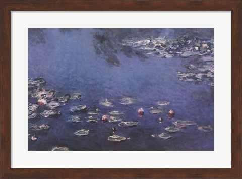 Framed Waterlillies Print