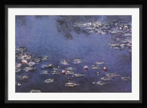 Framed Waterlillies Print
