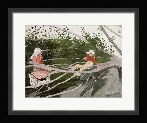 Framed Out On A Limb Print