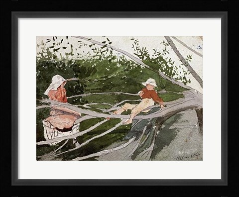 Framed Out On A Limb Print