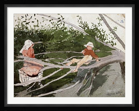 Framed Out On A Limb Print