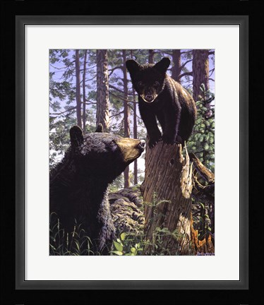 Framed Stump Jumper Print