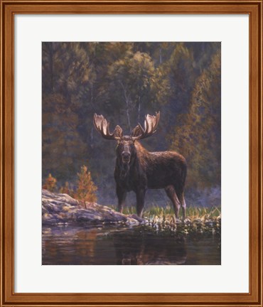 Framed North Country Moose detail Print