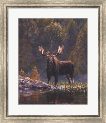 Framed North Country Moose detail Print