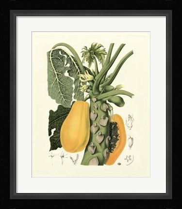 Framed Island Fruits IV Print